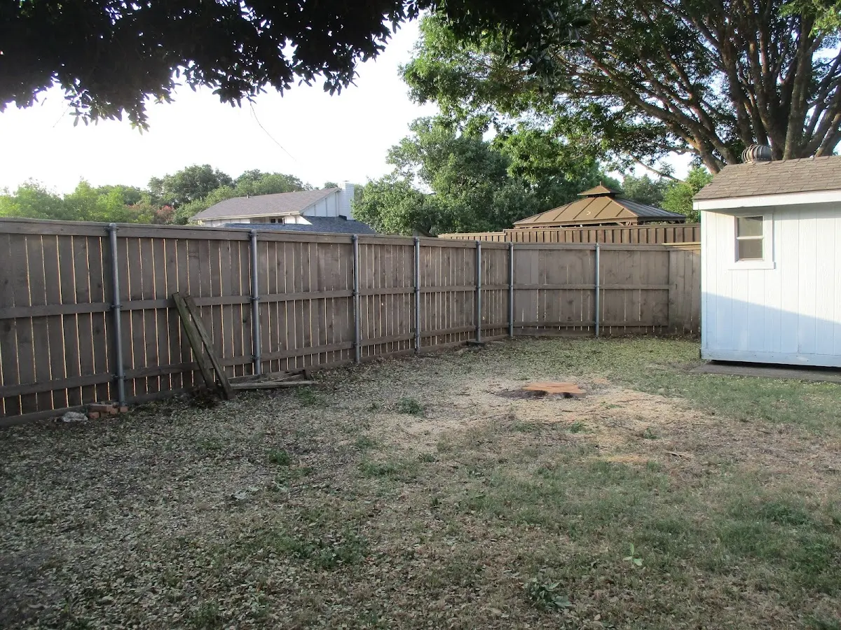 Cleared yard after professional tree removal in Allen Junction